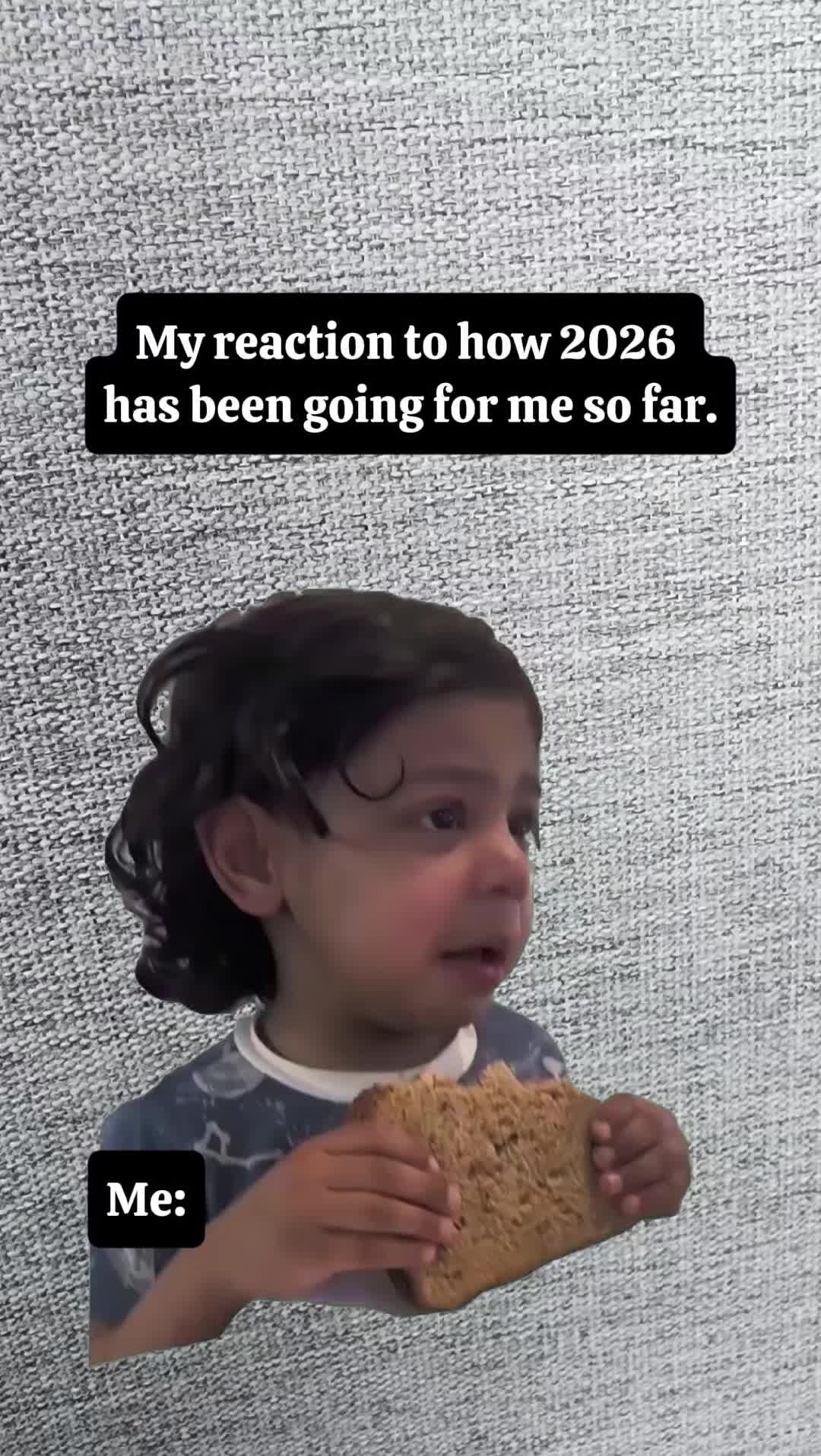 @Lana 🌺🌻🦮🐕🦺🌱🪴