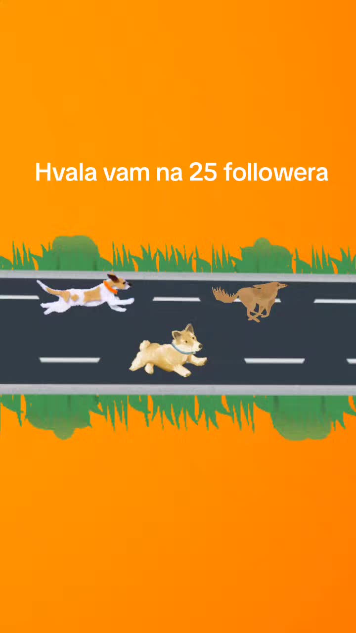@Bogdan Matkovic