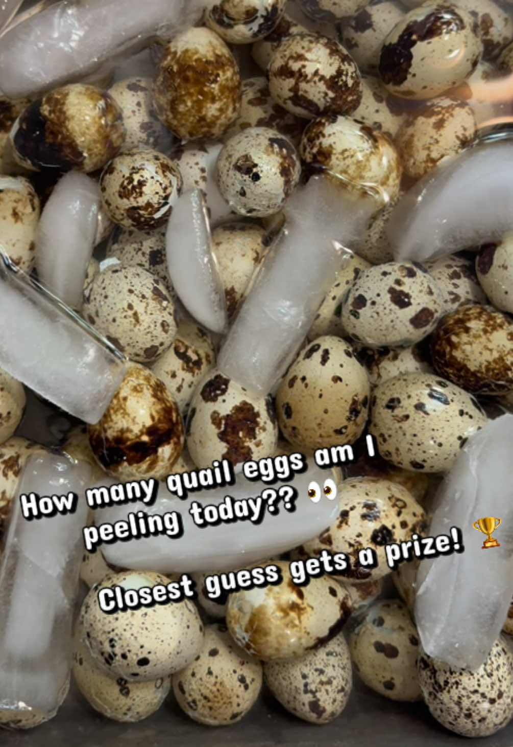 @Sierra_TSWFarms - ๐๐ฅ๐