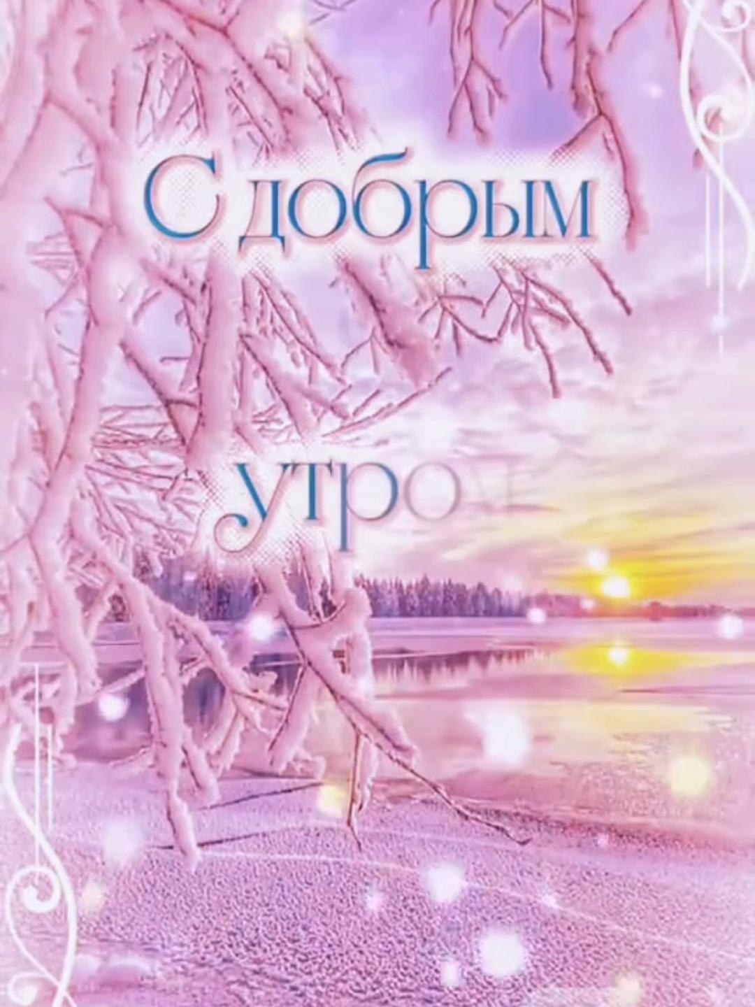 @_Bibo_