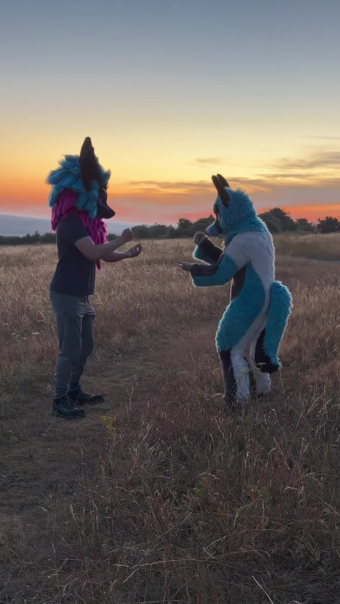 @Nightphin