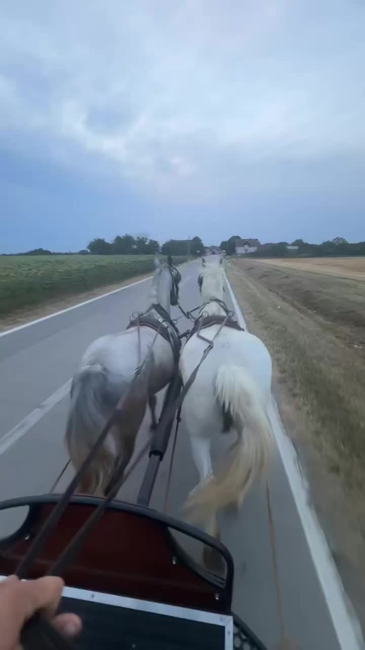 @⛔️AntunGrgić⛔️