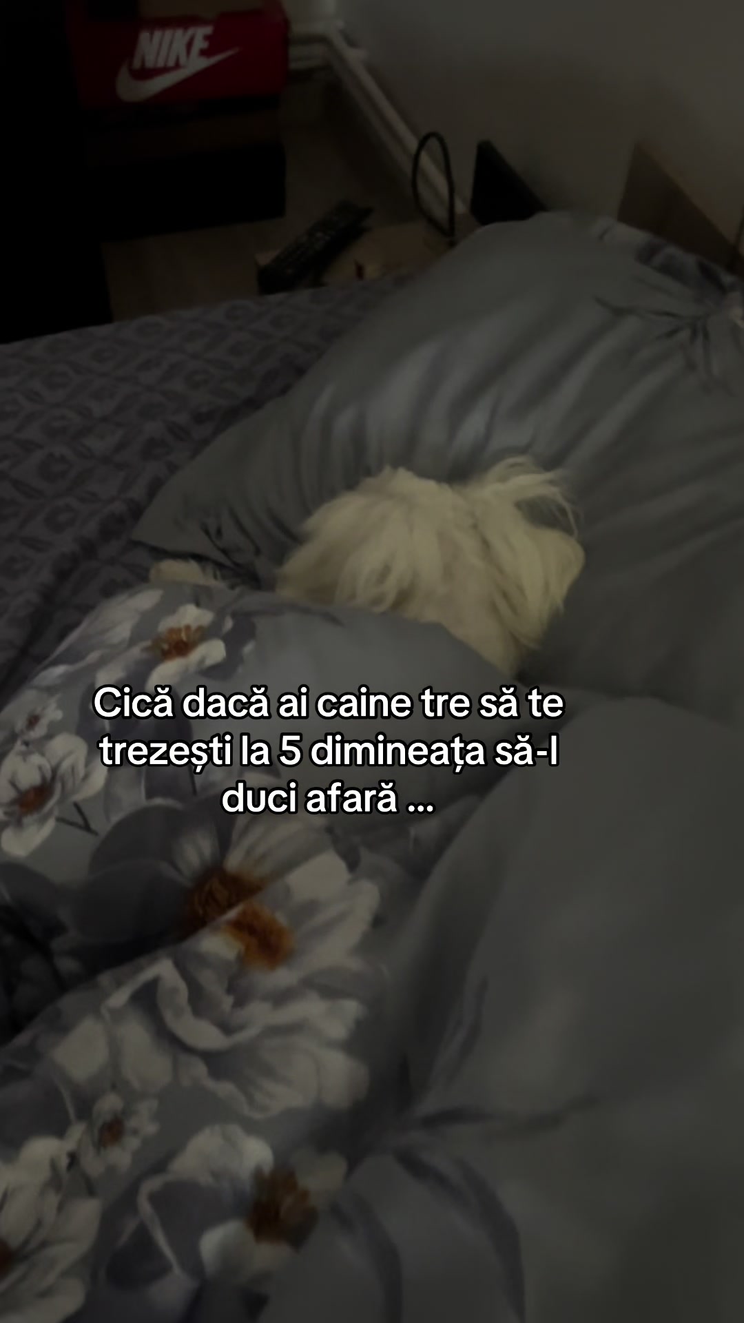 @Mioana