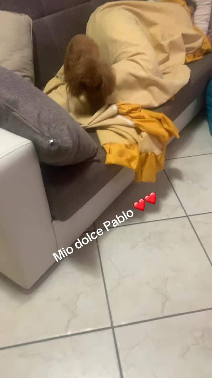 @Annarita Guarracina