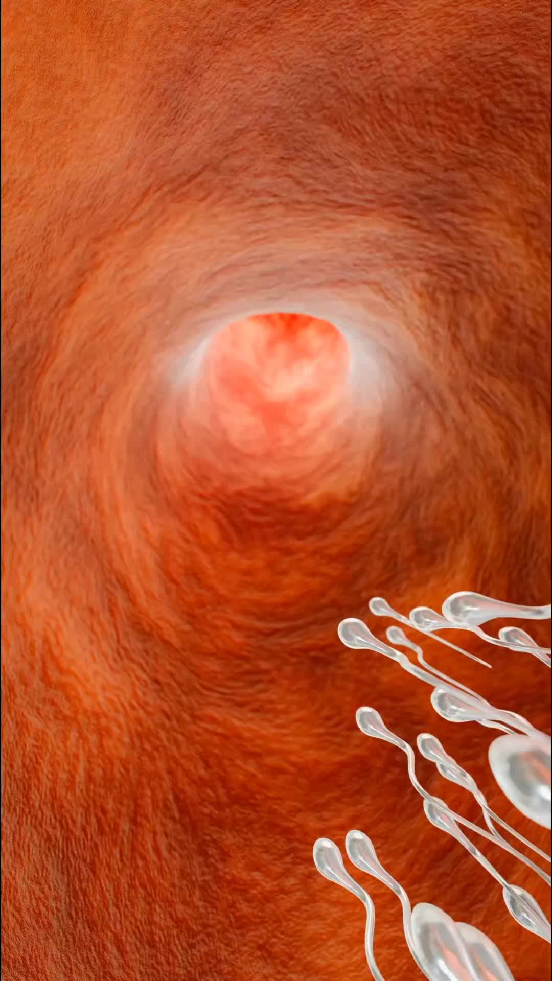 @InsideHumanLab