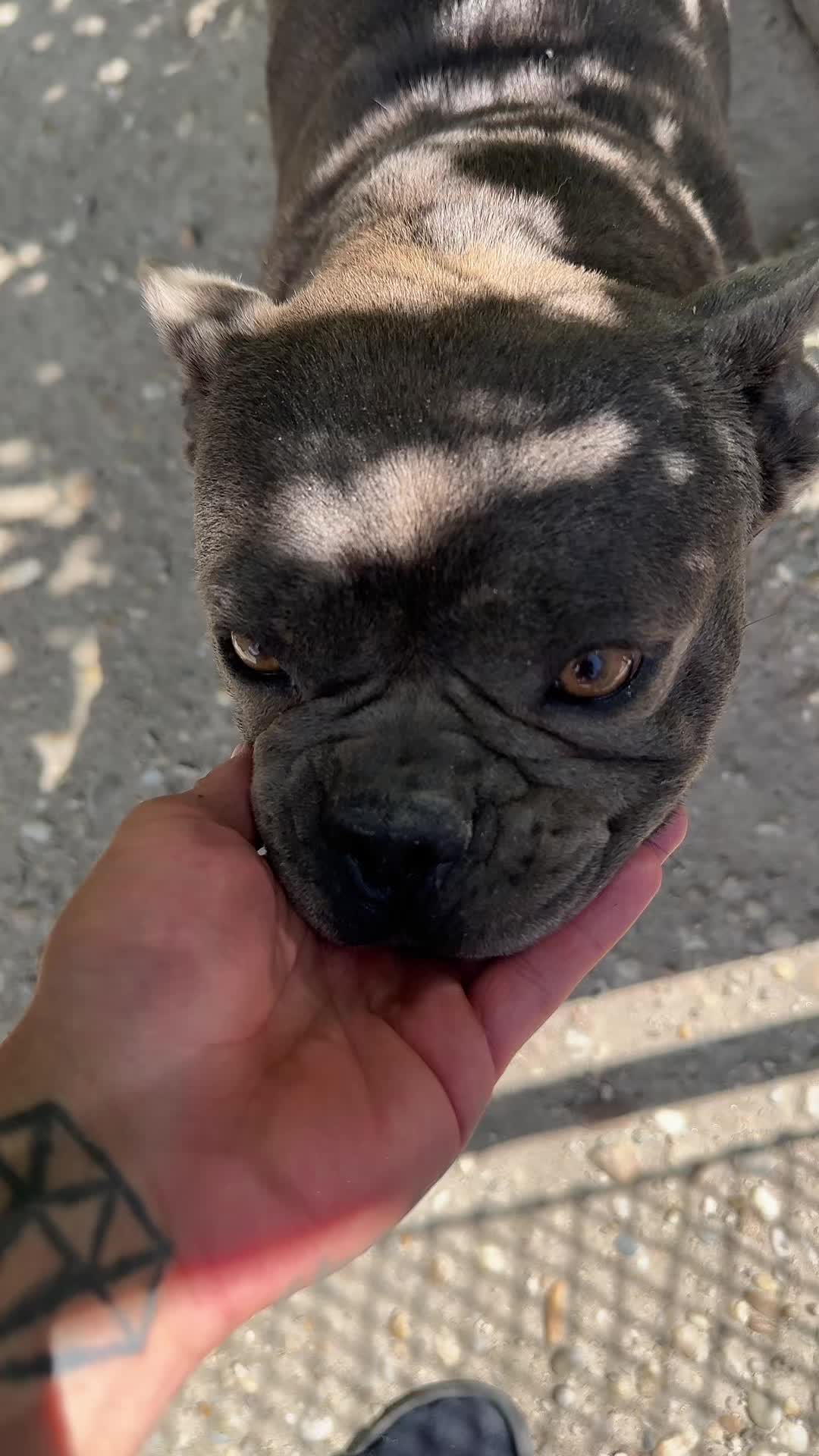 @Ádám Fekete