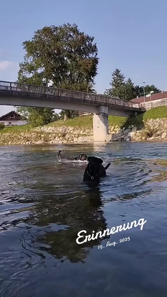 @user2682528717011