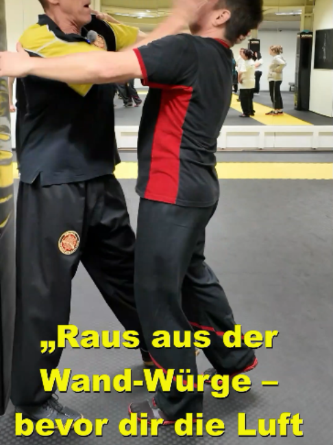 @Sifu Martin Hofmann
