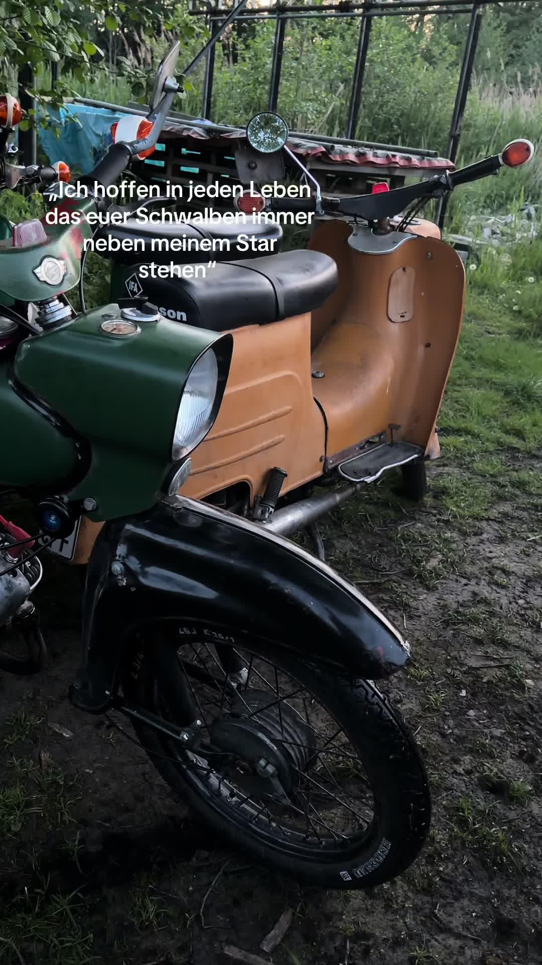 @𝕱𝖎𝖓𝖓🇩🇪🦅