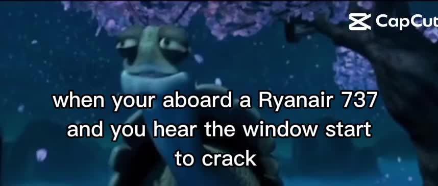 @Airlineauditor