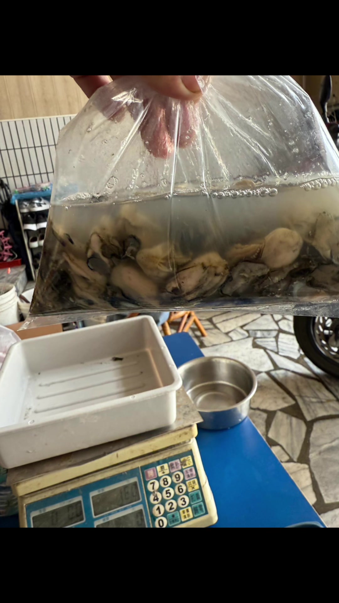 @阿興檳榔攤(金寶螺專賣店