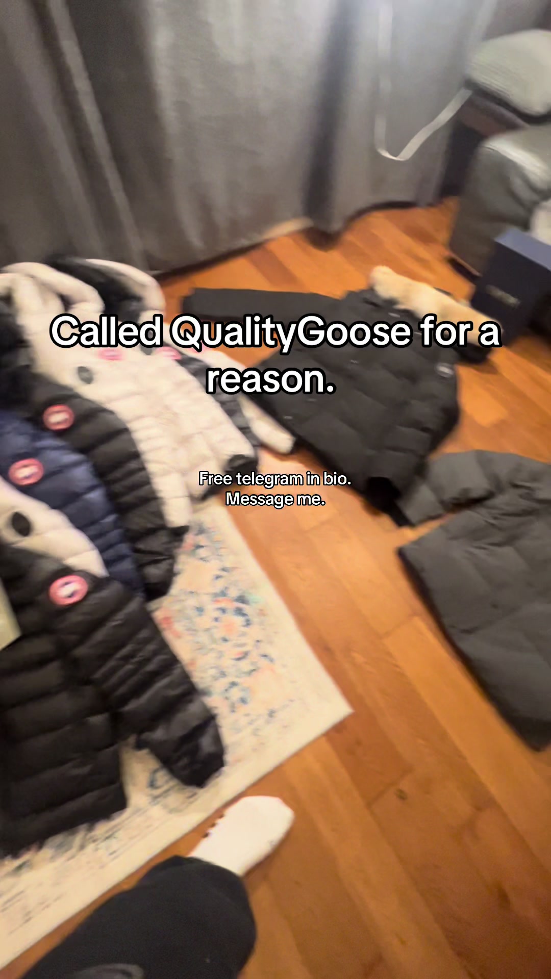 @QualityGoose