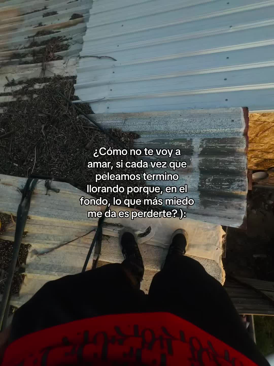 @jesusjp16