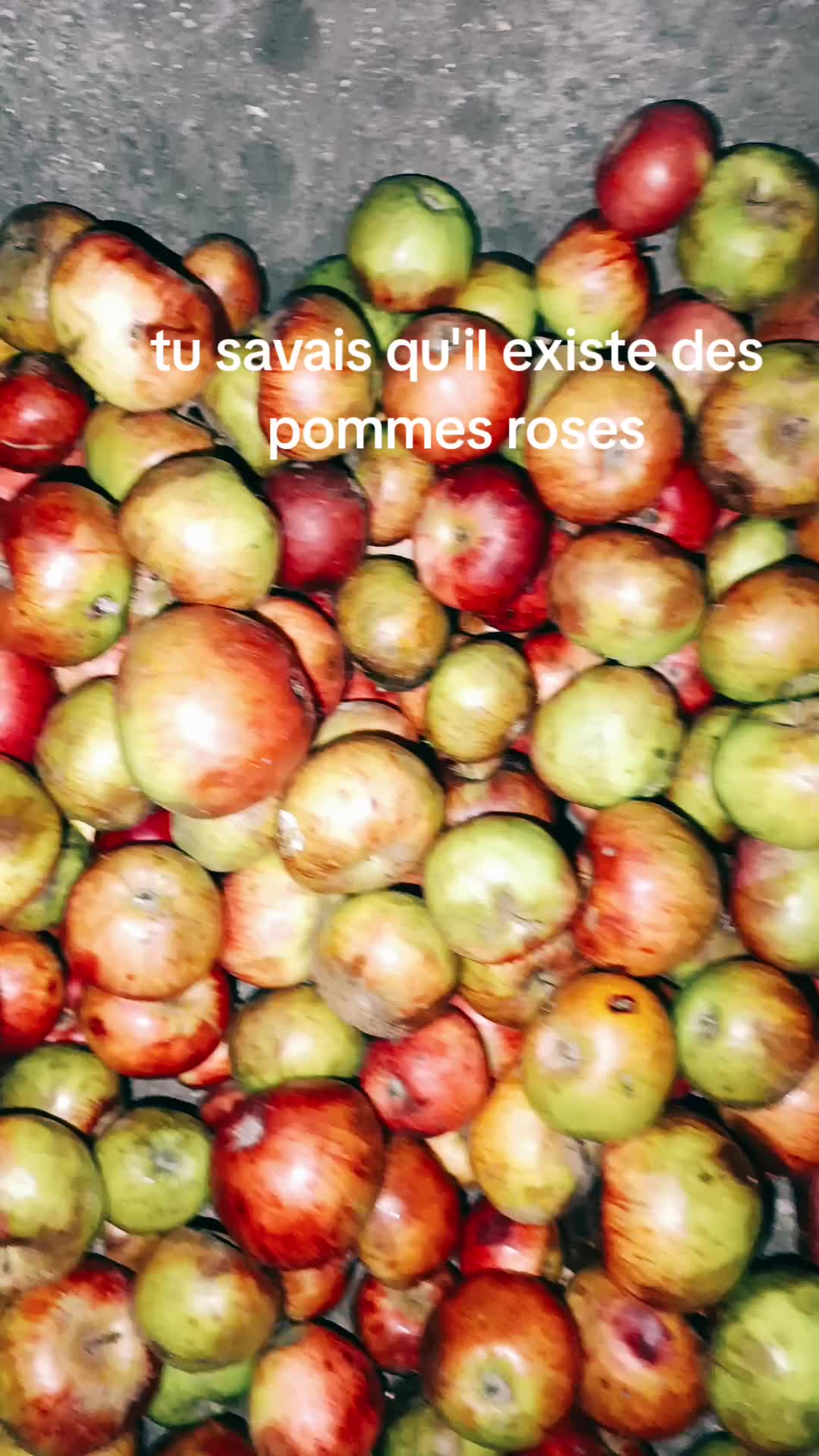 @Pierroooot