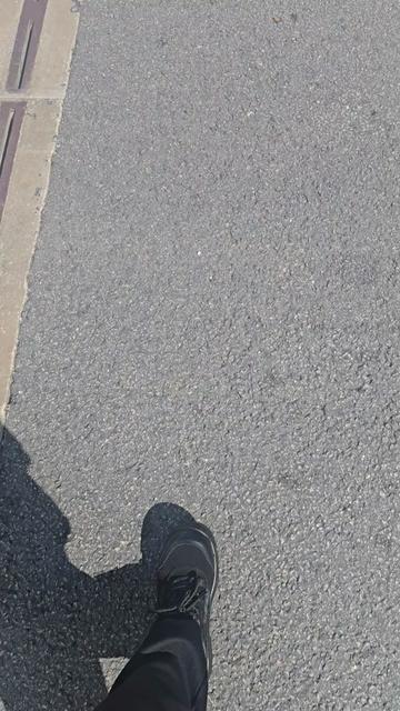 @SJ 🏴󠁧󠁢󠁳󠁣󠁴󠁿🦄