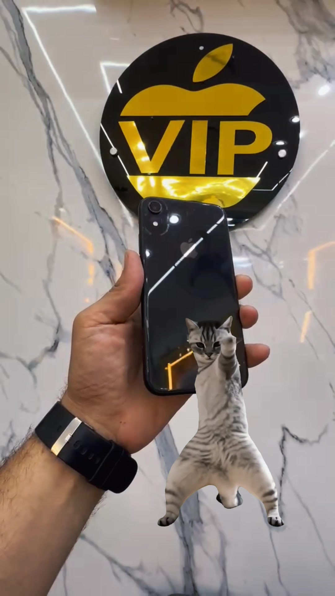 @Vip Vip