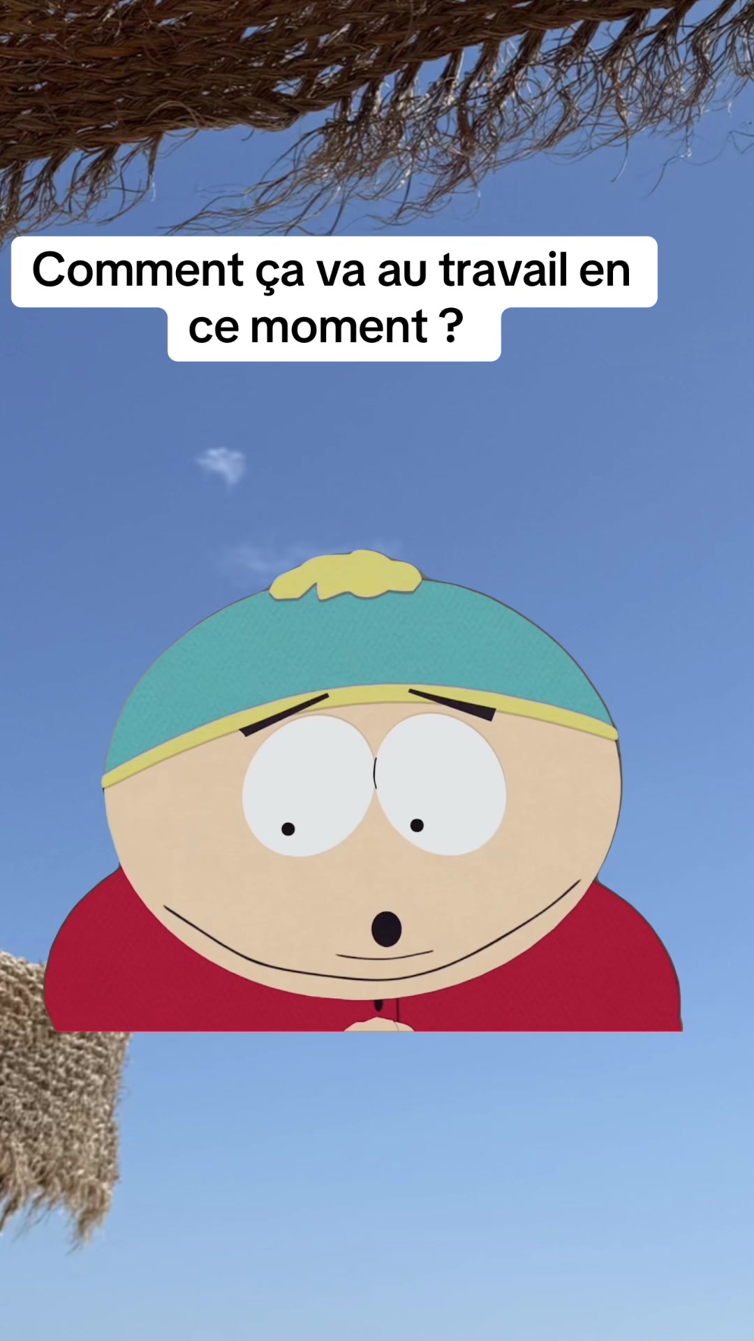 @Cat