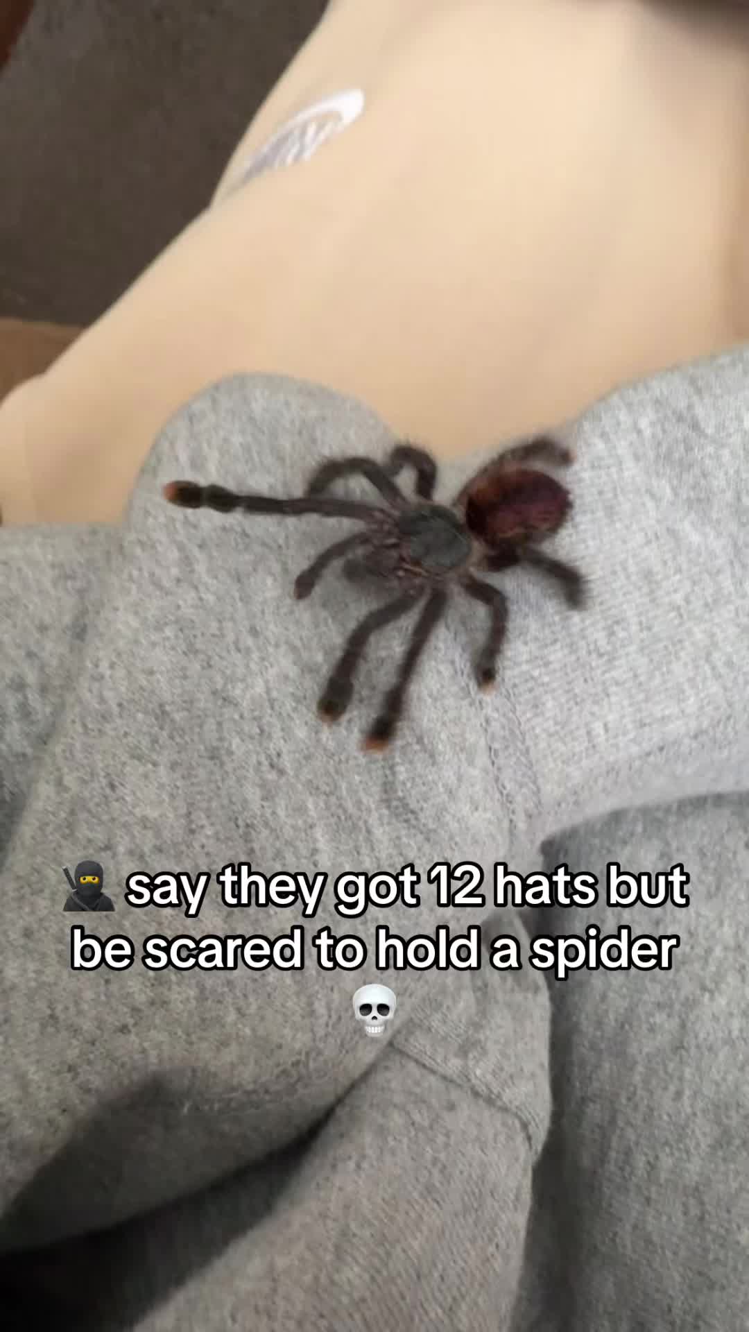 @Xanderdagreatest