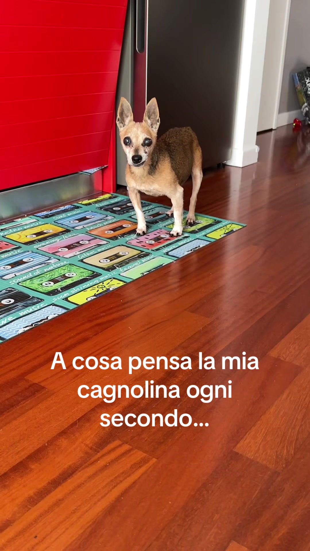 @Claudia Guappa Paren