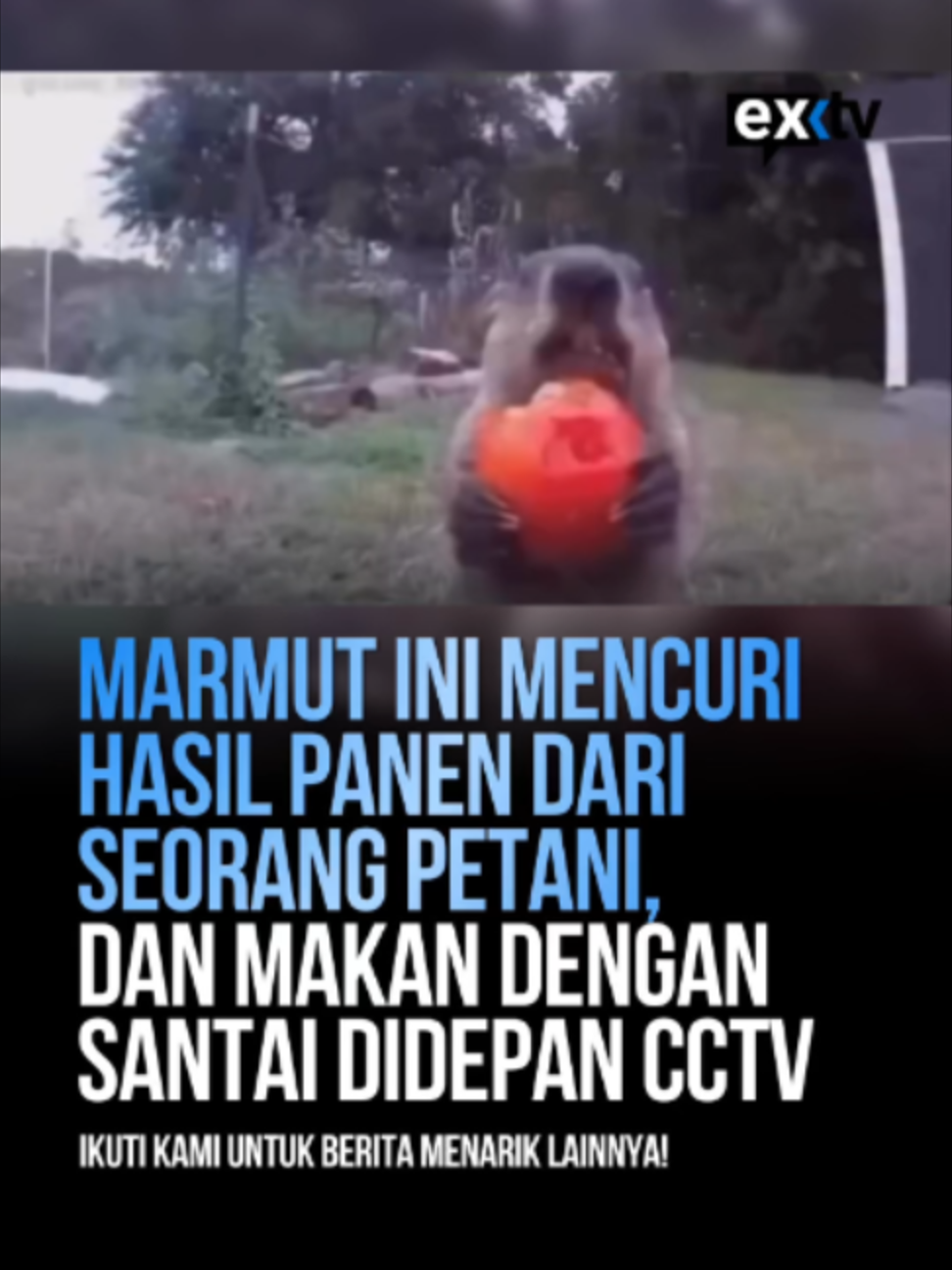 @Expressi Media