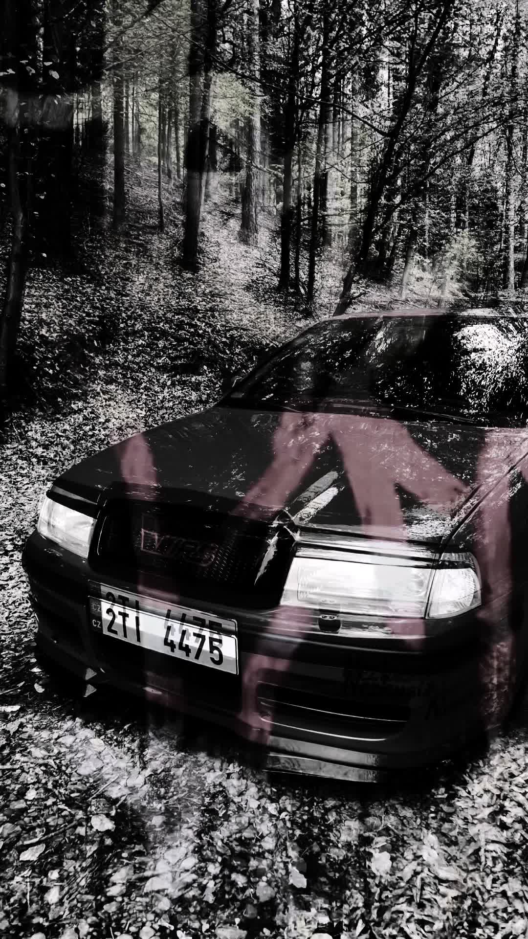 @𝕄𝕊𝕊𝕎