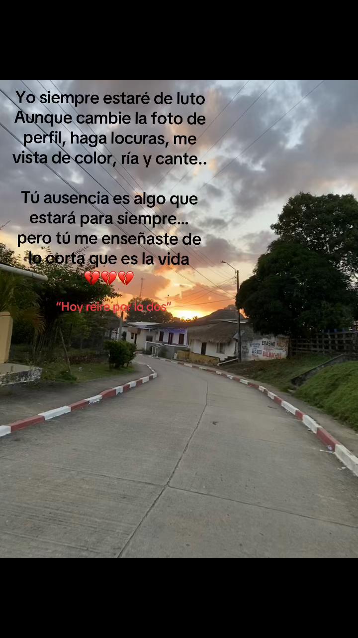 @Vivi Sofi736