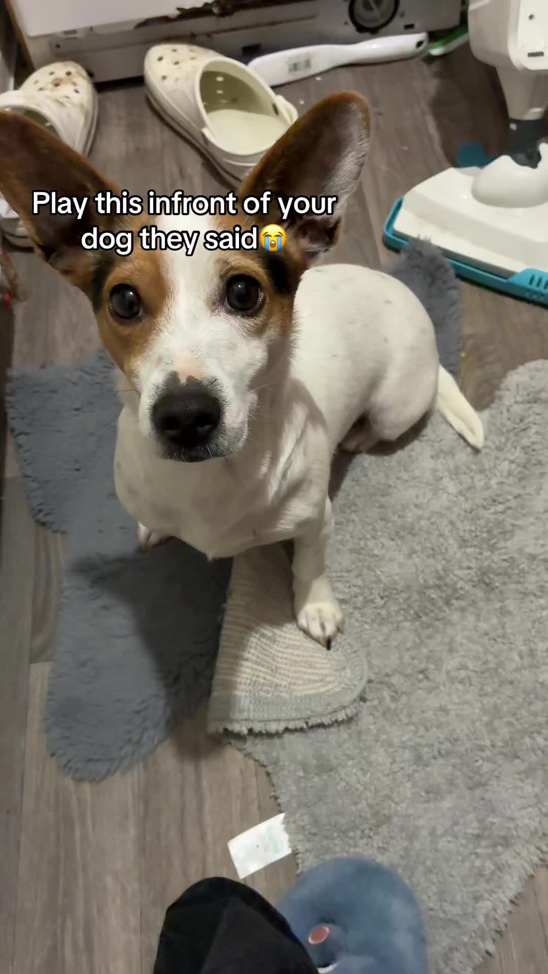 @𝒸𝓁𝒶𝓇𝑒! ݁⋆