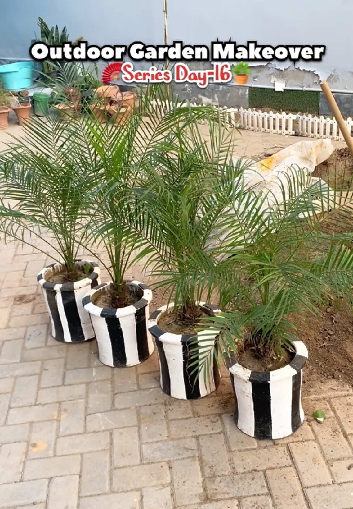 @Plantwithmomin