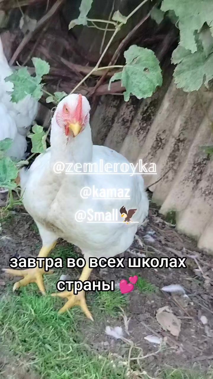 @МИШАНЯ