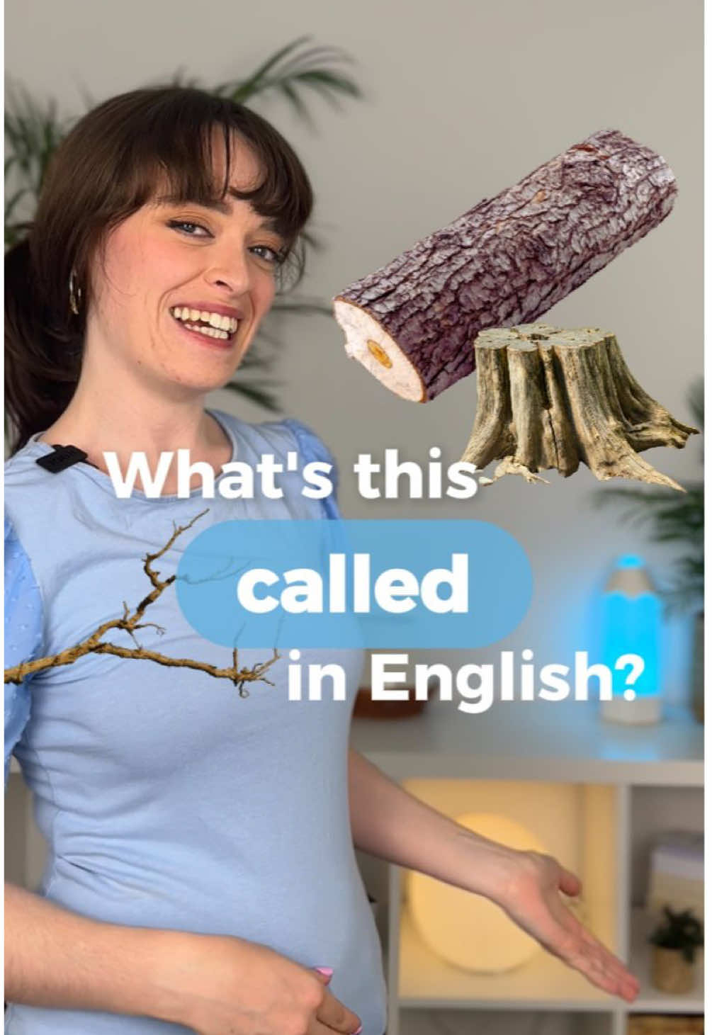 @Englii- Learn English