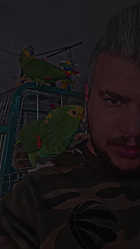 @NOFAL🪶🦅