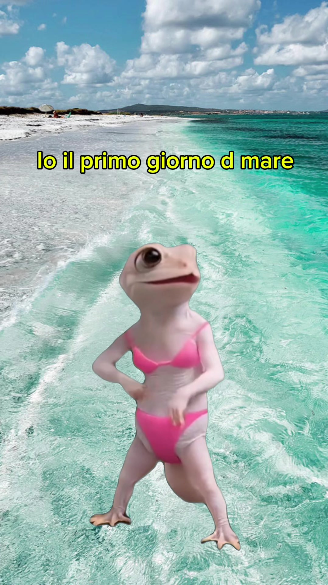 @Elisa Giacomelli♌️