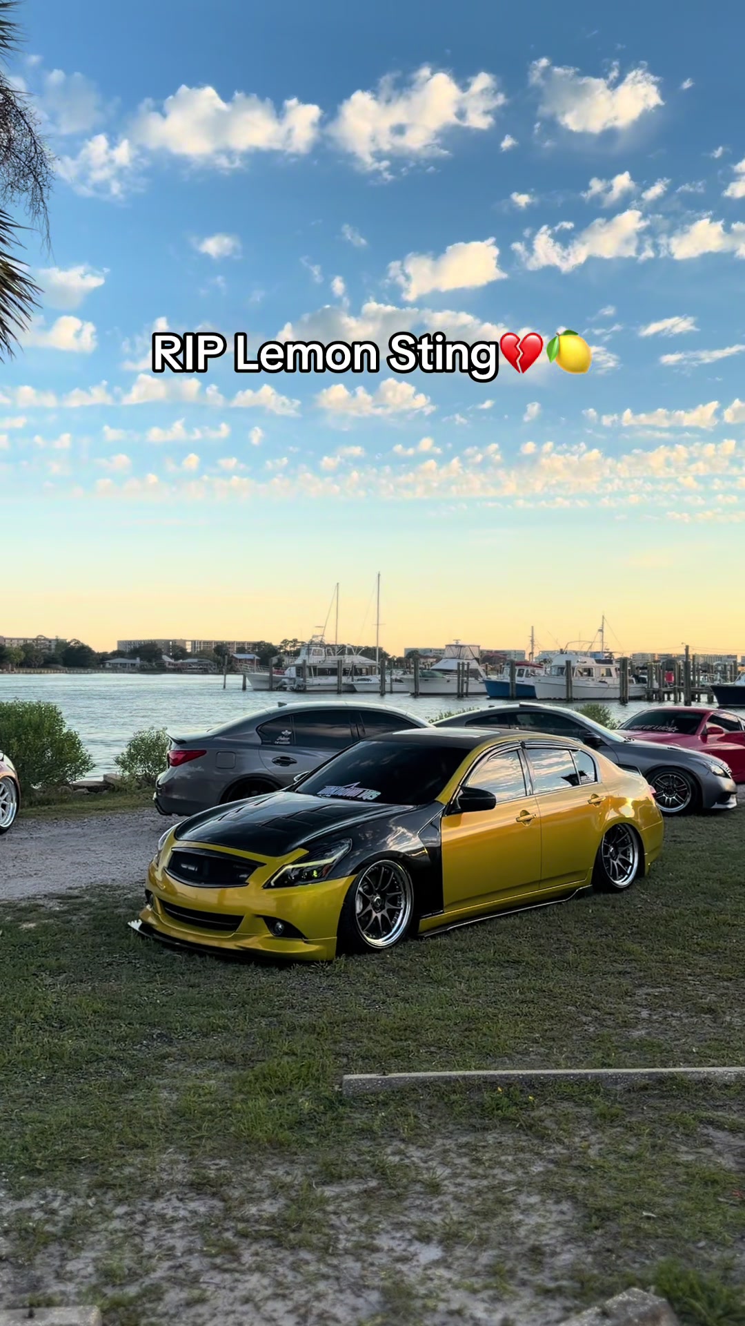 @brvndonvq