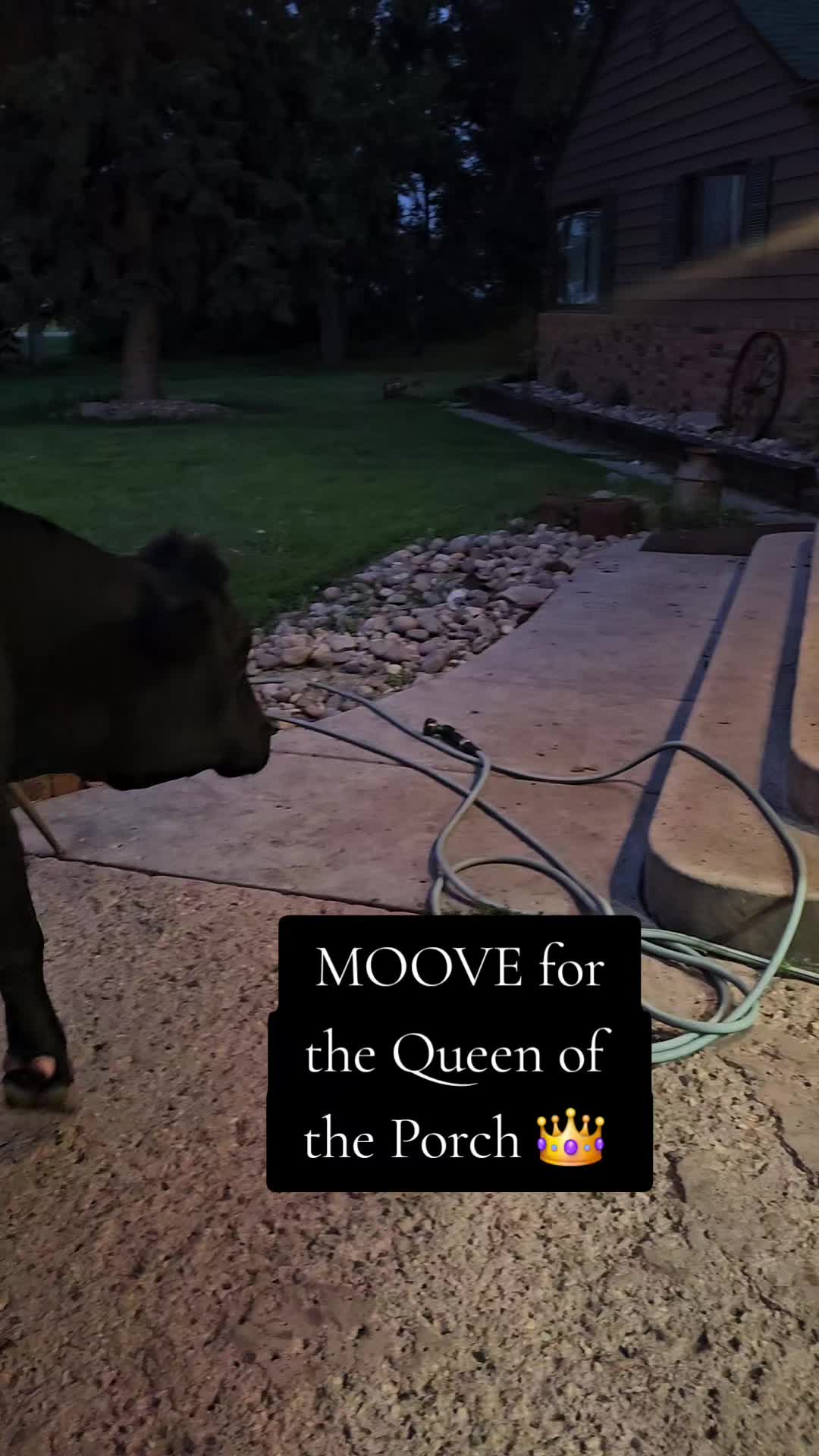 @Dakotafunnyfarm
