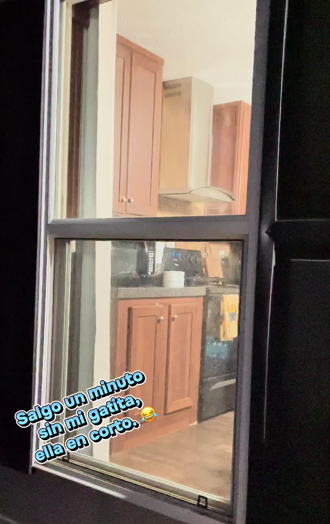 @a.lily_jones