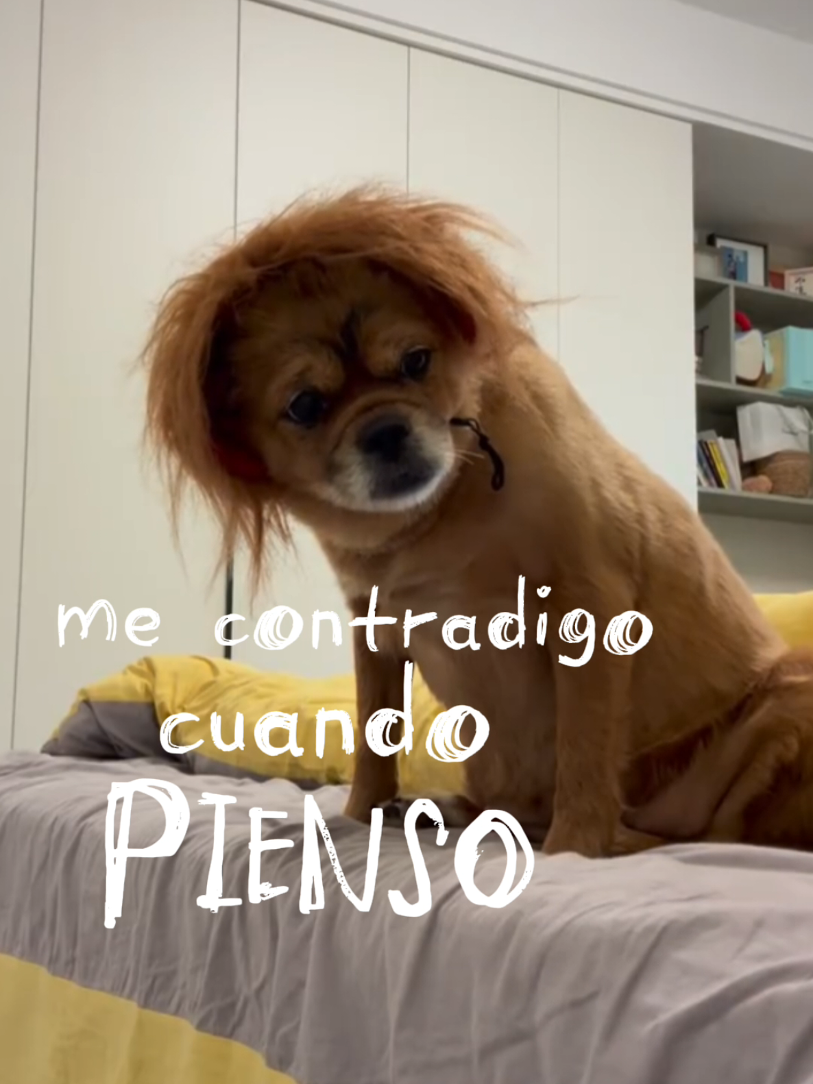 @Omar Vargas