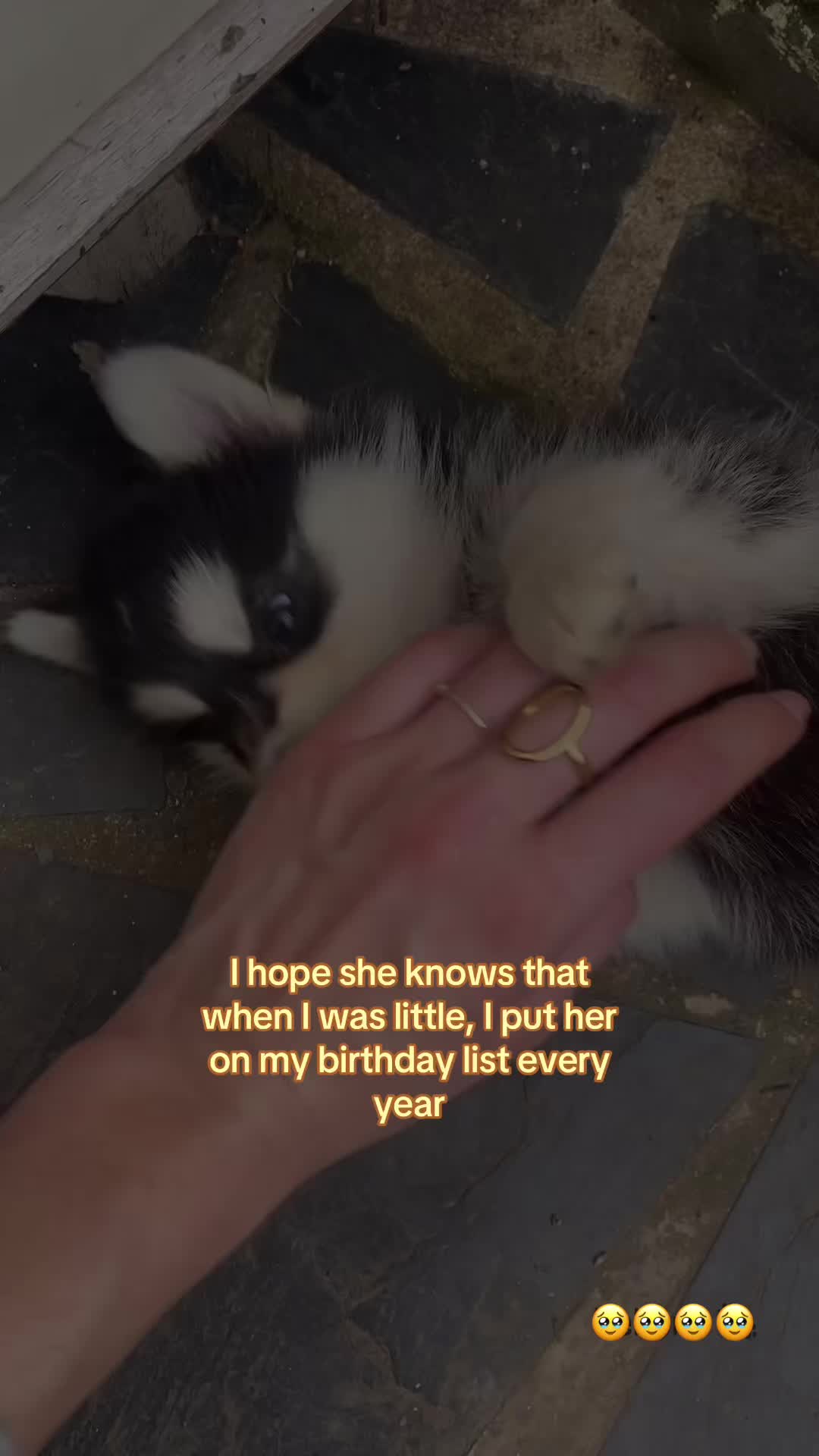 @benhamssss