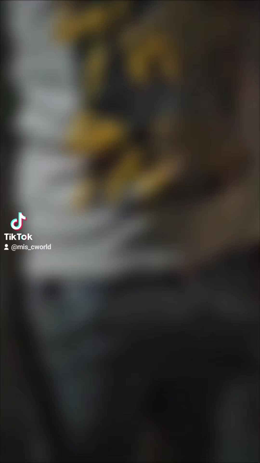 @mis_Cworld✨️