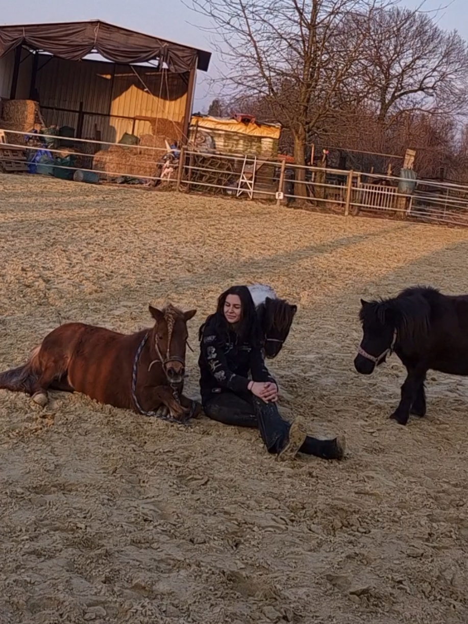 @Lisas kleine Ranch 🐴