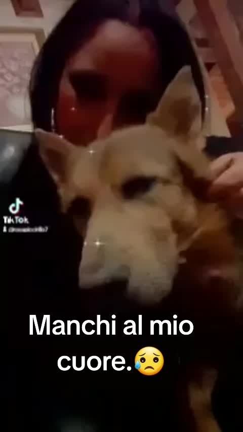 @rosapiccirillo