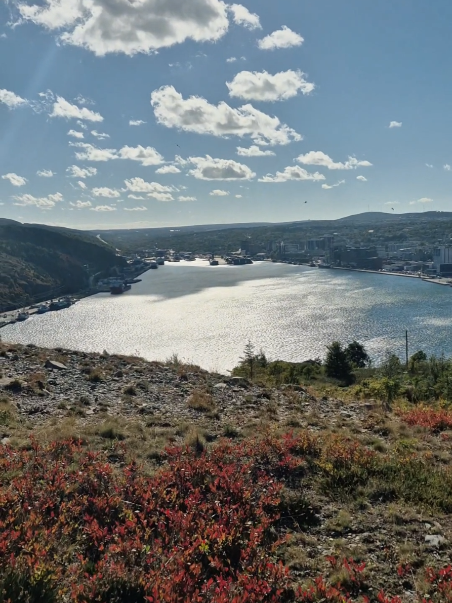 @NLGIRL🇨🇦