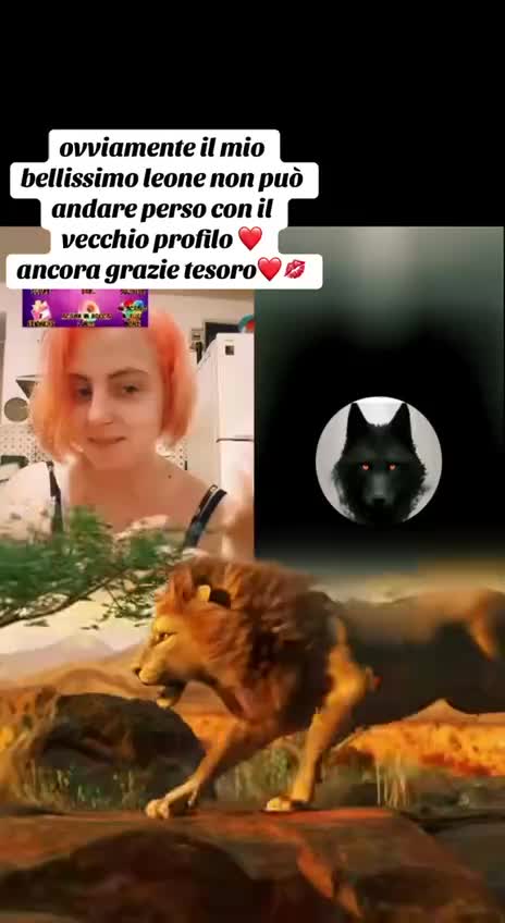 @LUPETTO
