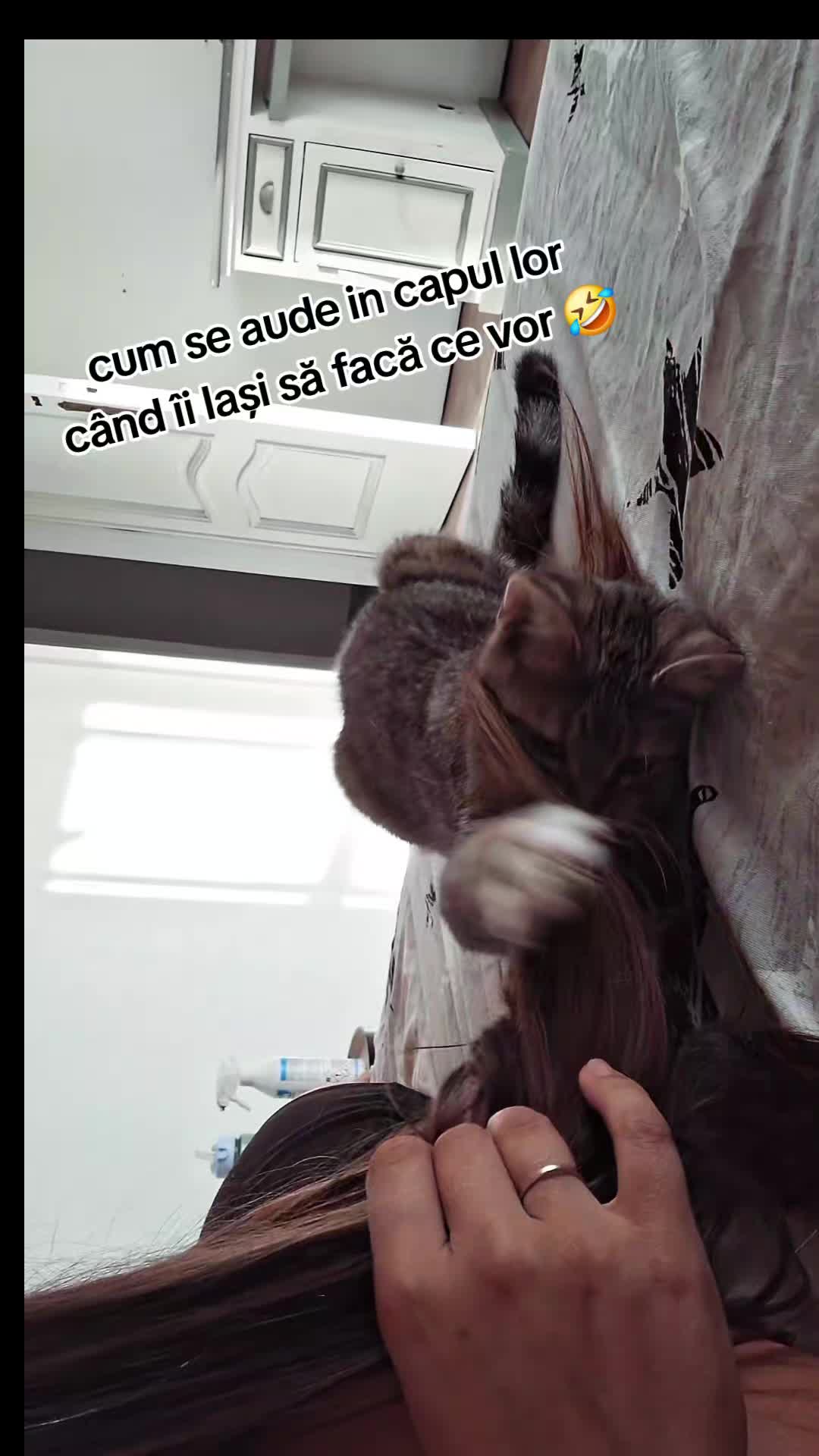 @Alexandra Onofrei