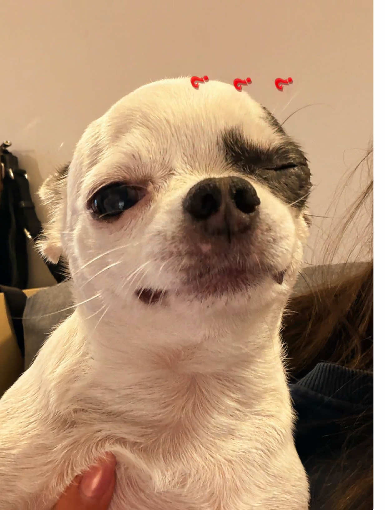 @Nicole Cereseto