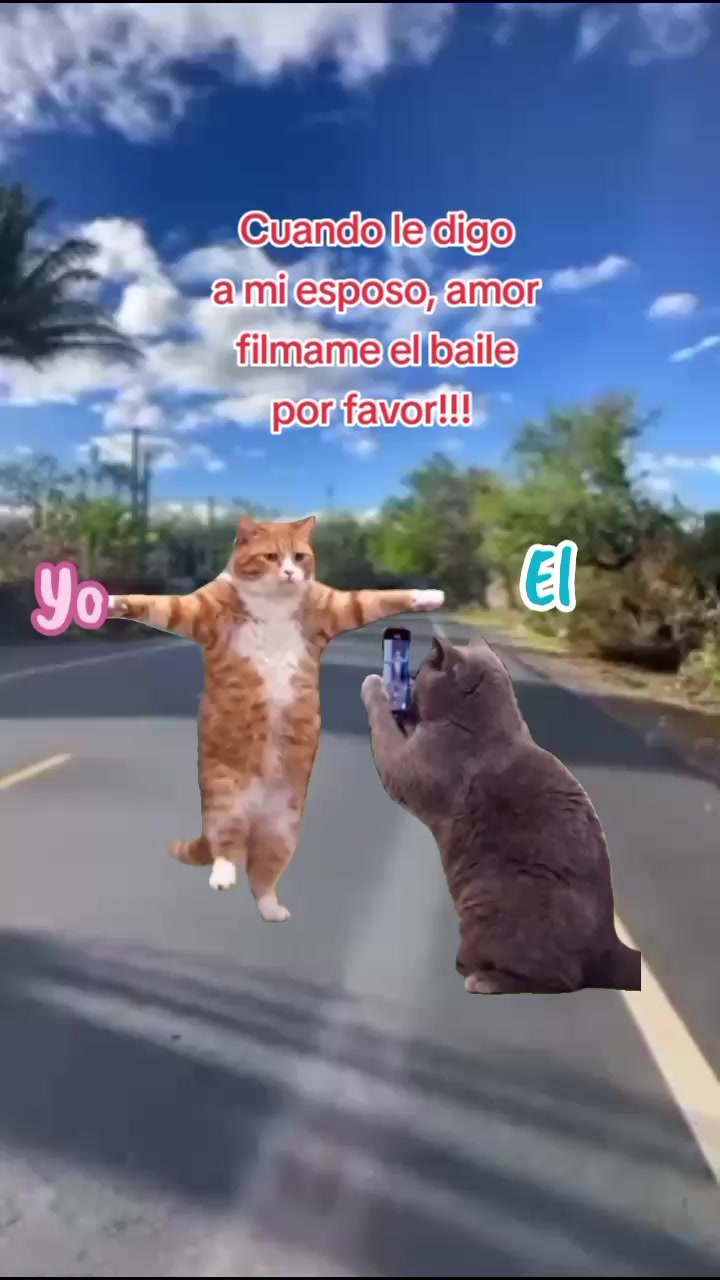 @🦋Janet🦋🇵🇪