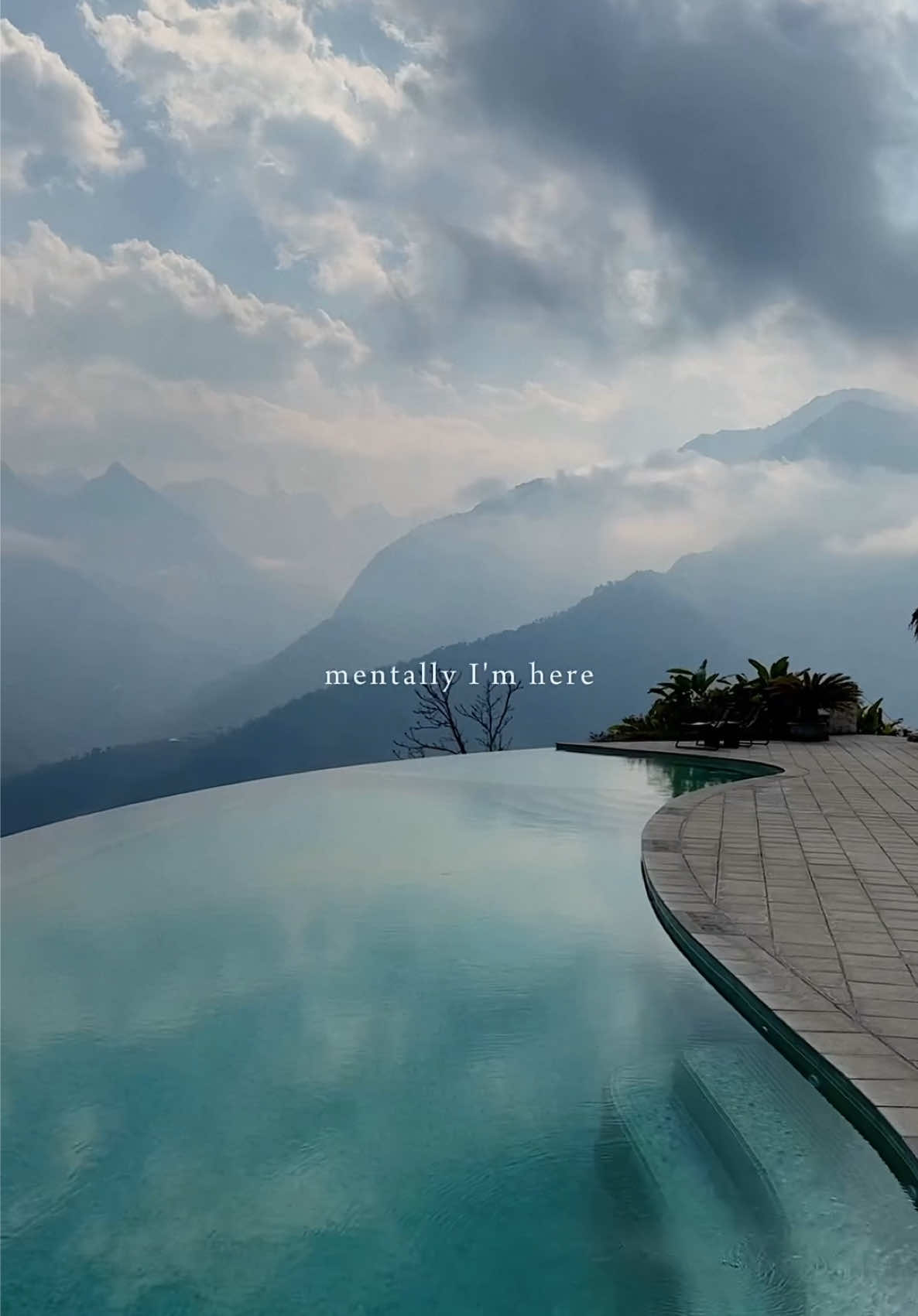 @vasiventures
