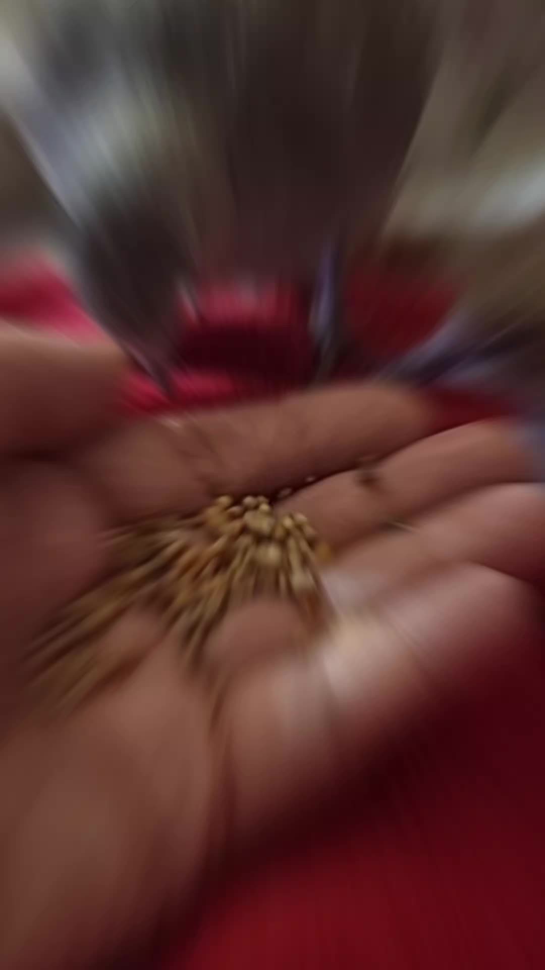 @Fl&uuml;gel & Freunde