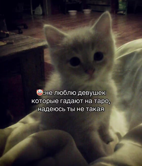 @тг: diamantzzz