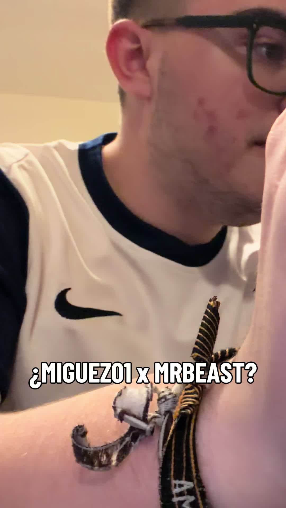 @Miguez01 🎮