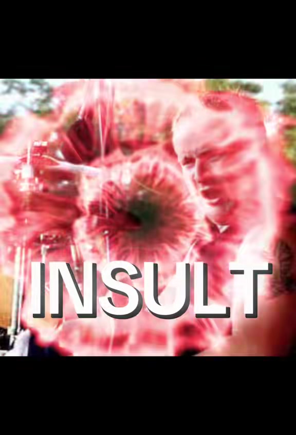 @insultofficial